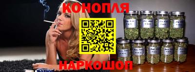 mdpv Краснознаменск
