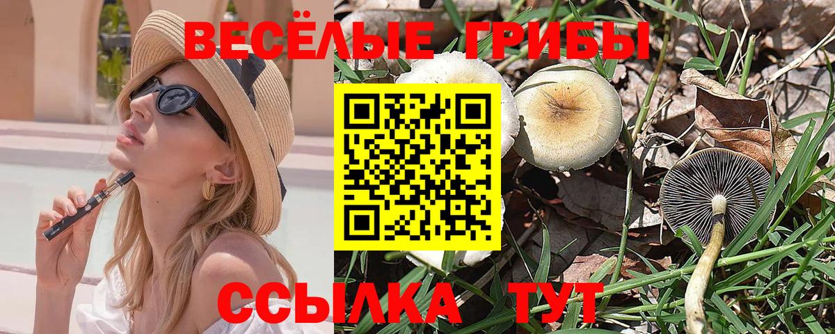 ГАШИШ  Вход с VPN  НБОМе  Качканар  Канабис  МЕФ кристаллы  КОКАИН  A PVP СОЛЬ кристаллы  Лсд 25 