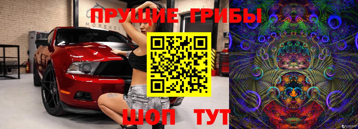 Галлюциногенные грибы Psilocybe Качканар