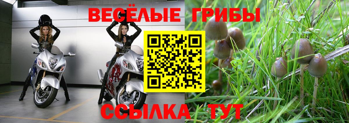 Галлюциногенные грибы Cubensis  Галлюциногенные грибы ЛСД  Вход с VPN  Качканар 